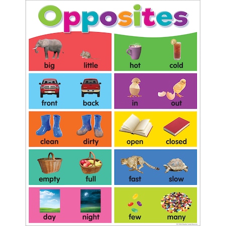TEACHER CREATED RESOURCES Colorful Opposites Chart TCR7496